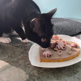 Люси, 7 месяцев. г. Благовещенск