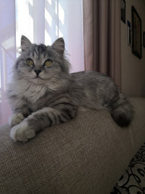 Королева Бусинка, 10 месяцев