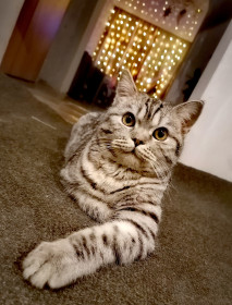 Мартин, 1 год, с. Дмитриевка