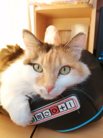 Мура, 13 лет, г. Зея, Амурская область