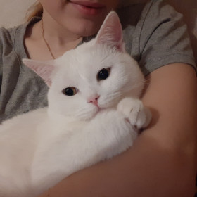 Кокос, 1 год, г. Благовещенск