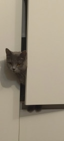 Малая, 2 года, с. Чигири