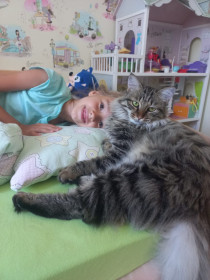 Проня, 2 года, 5 кг, г. Благовещенск