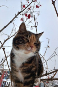 Мася, 2 года, п. Талакан