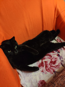 Яков Аркадьевич, 4 года. г. Белогорск