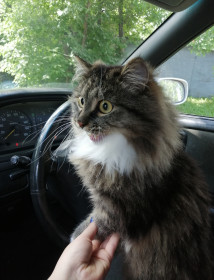 Матвей, 5 лет, г. Белогорск