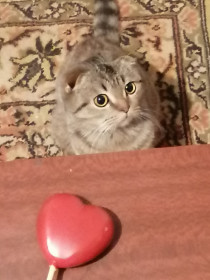 Яша, 1 год, с.Безозёрное