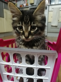 Вася, один месяц