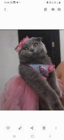 Маргарита, 2 года, г. Свободный