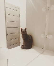 Фаби, 4 года, с. Чигири