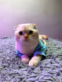 Сэмуил, 2 года, село Ивановка