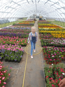 Петунии в селе Новотроицком