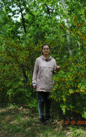 Акация в Ботаническом саду