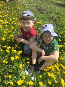 Одуванчики в Архаре