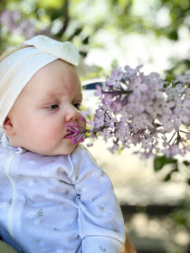 Сирень в Благовещенске