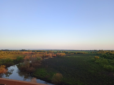 Природа просыпается в Касаткине. Р. Ганукан