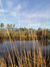 Утро на речке Бирма в Мазановском районе