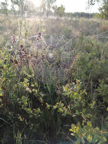 Раннее утро в Мазановском районе