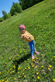 Одуванчики в Ромненском округе