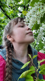 Черемуха душистая в Талакане