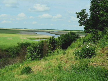 Красоты Муравьёвского парка