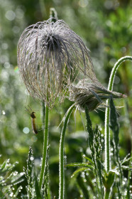 Прострел в пгт Прогресс