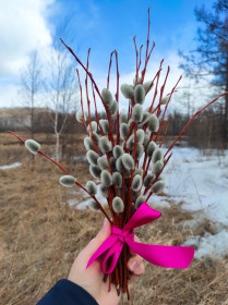 Самой 1-й цветёт верба (с. Талдан)