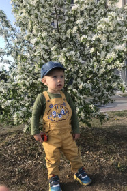 Яблони в цвету в Благовещенске