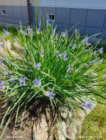 Синеглазка в детском саду г. Циолковского