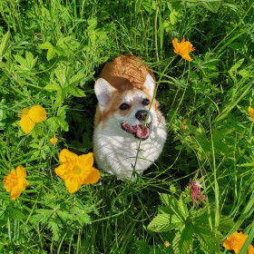 Огоньки в полях Новотроицкого шоссе