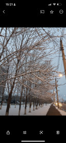 Пересечение улиц Калинина — Тенистой