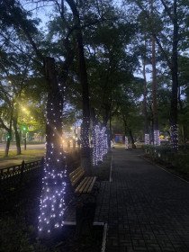 Ночная сказка