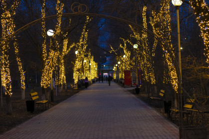 Вечерние огни аллеи парка