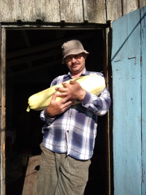 Братья Кабачки из пгт Новобурейский