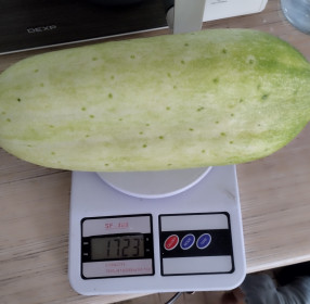 Огурец-молодец