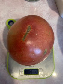 Томатный пухляш из Благовещенска