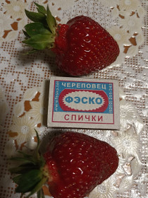 Чудо клубника из села Калинино