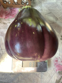 Красавец-баклажан из с. Малая Сазанка