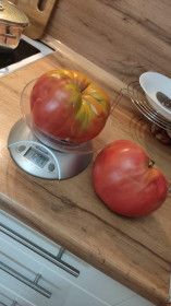 Сеньор помидор из Циолковского