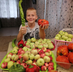 Чигиринские яблочки