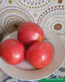 Разнокалиберные помидорчики из Шимановска