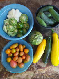 Краски лета из Тыгды