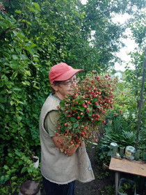 Земляничка из Благовещенска