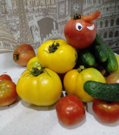 Озорной помидор из с. Садовое
