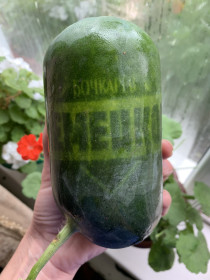 Арбуз с надписью из с. Муравьёвки