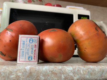 Три богатыря из с. Муравьёвка