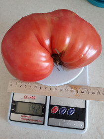 Донорская почка, с.Чигири