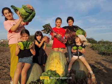 Урожай многодетной семьи из Красной Орловки