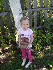 Алёнушкина картошка в Чигирях