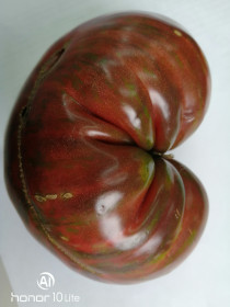 Благовещенское сердце